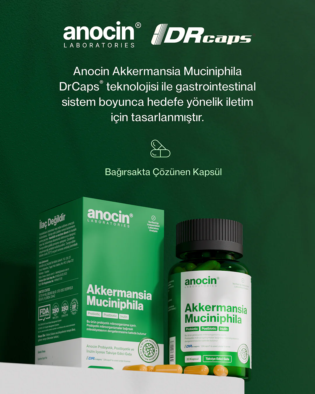 Akkermansia Muciniphila 10 Milyar Probiyotik + Postbiyotik + İnülin - Image 3