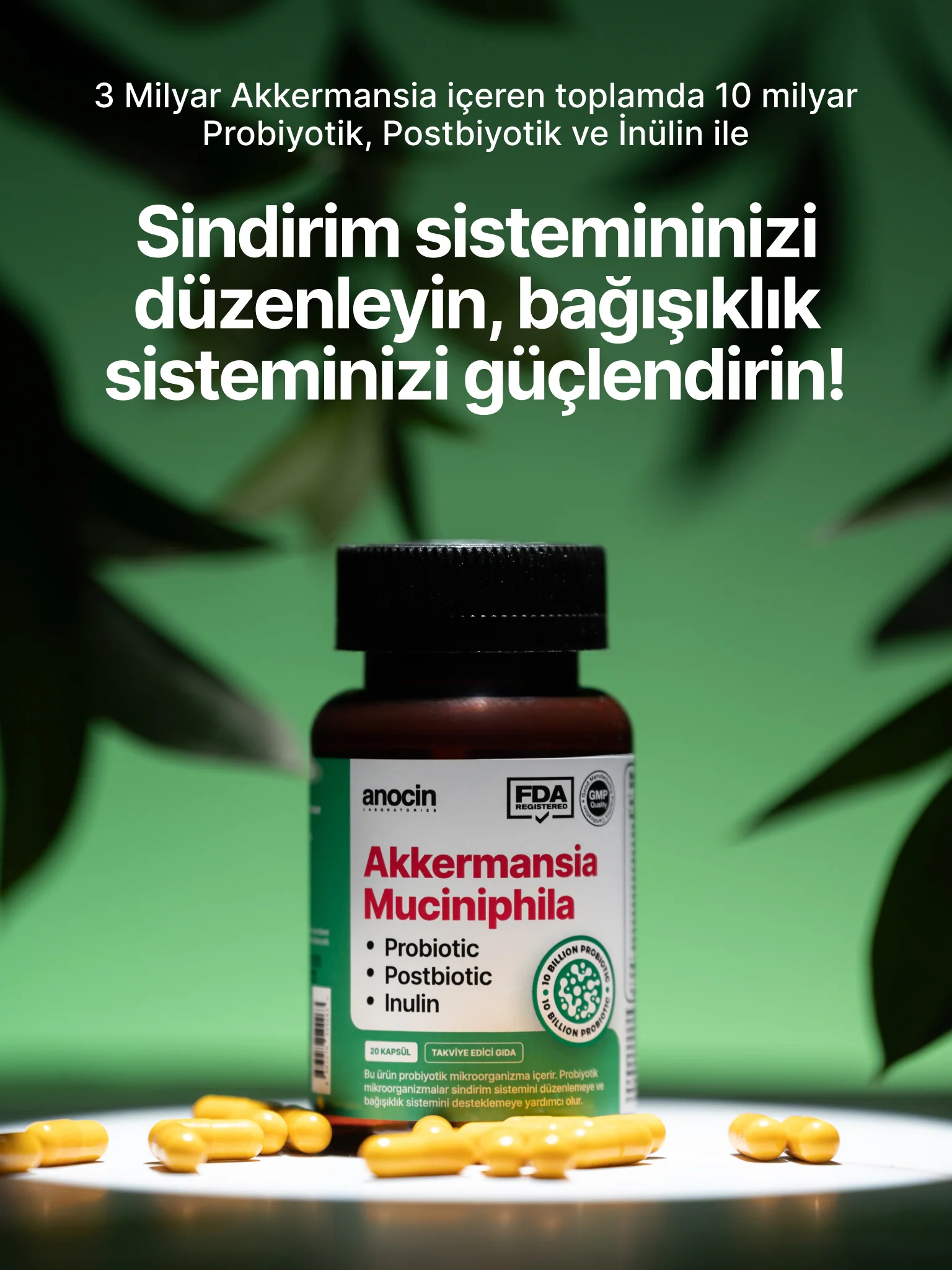 Akkermansia Muciniphila 10 Milyar Probiyotik + Postbiyotik + İnülin - Image 7